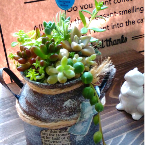 リメイク缶250☆多肉植物☆寄せ植え☆インテリア 1_aca17a10d11fe516a621597e037c