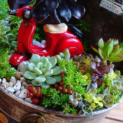 1_f0caddfe3f8ad722bd9895eb35e1