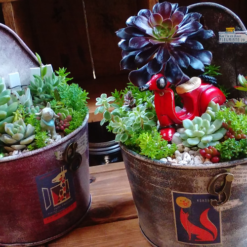 リメイク缶376☆多肉植物☆寄せ植え☆インテリア 多肉植物寄せ植え 多肉 リメイク缶鉢 多肉植物 galleryk's 通販