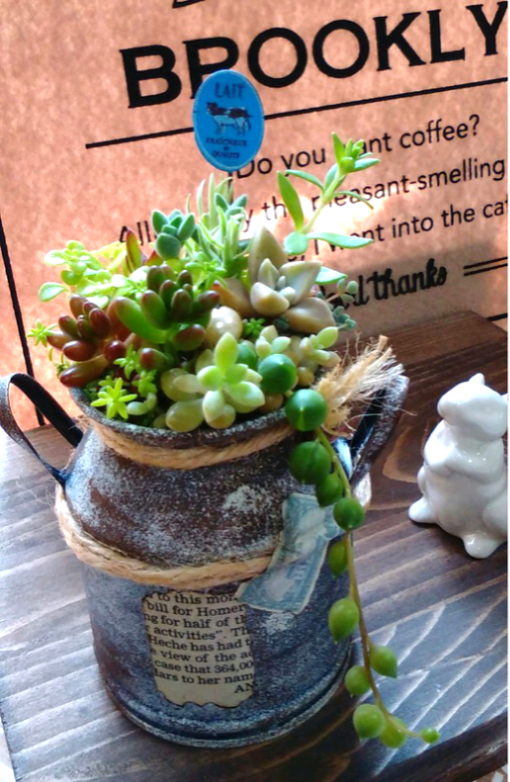 ミルク缶 大☆パンダ リメ缶☆ リメイク缶 リメイク鉢 リメ鉢 多肉