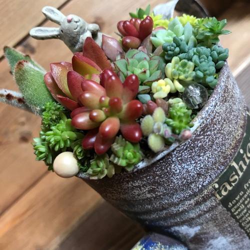 blooming *再々々…販∮多肉植物の寄せ植え∮雑貨リメイク缶＊ジョーロ  