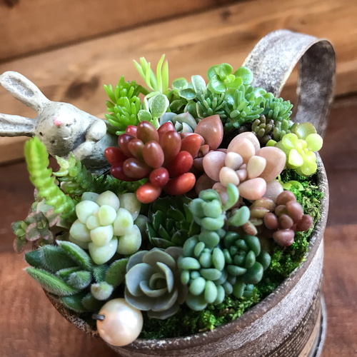 blooming *再々々…販∮多肉植物の寄せ植え∮雑貨リメイク缶＊ジョーロ  