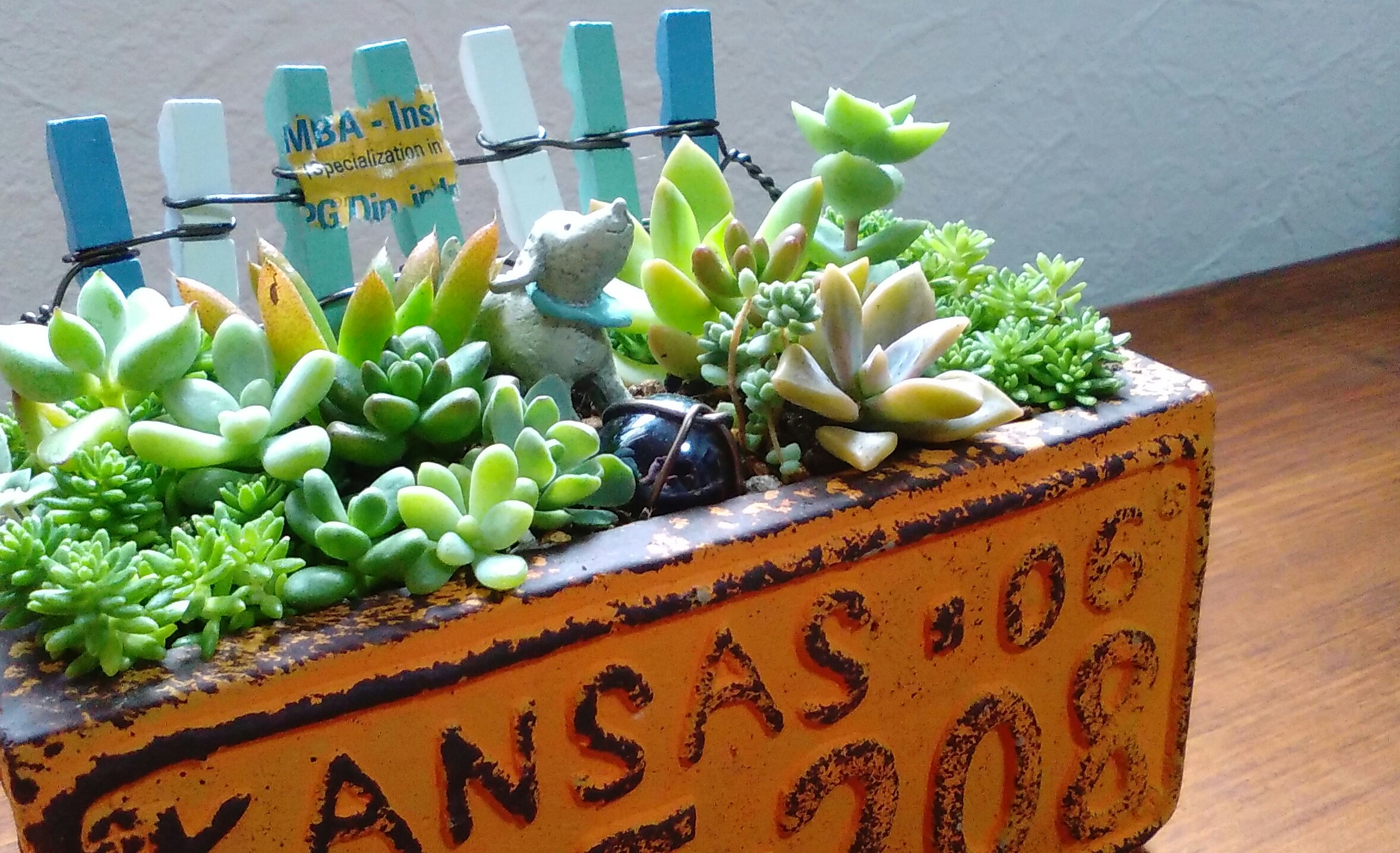 ○再々…販○待ってるからね♪∮多肉植物の寄せ植え∮箱庭＊ナンバー