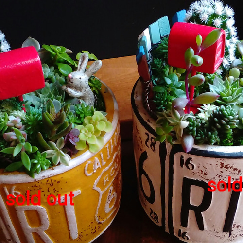 ひい♪ 多肉植物寄せ植え＊*º.:車:.ピアノ:.リース*:♡ wed0041.jpg