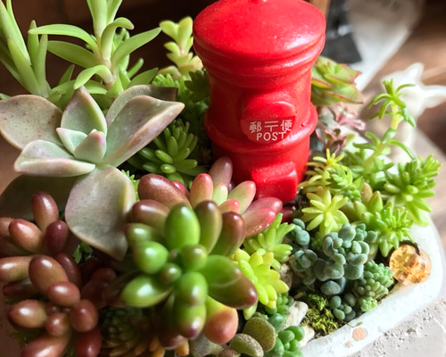 手紙*】§多肉植物寄せ植え§箱庭仕立て＊セダム＊虹の玉