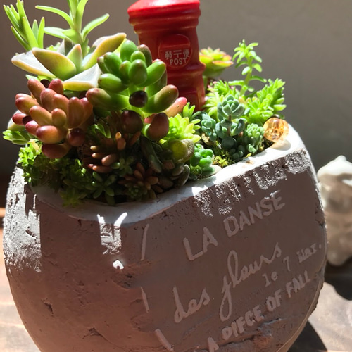 多肉植物 寄せ植え 木箱 ちまちま寄せ ステンシル オリジナル 虹の玉 きいちゃん ちまちま寄せ植えセット￼ 虹の玉 梱包込みで50g