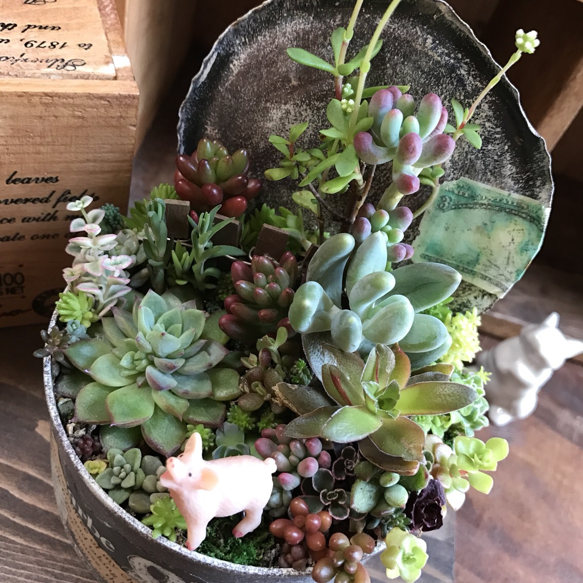 リメ缶 リメイク缶 リメイク鉢 多肉植物 寄植え 悪く ハンドメイド リメ缶 リメイク缶 リメイク鉢 多肉植物 寄植え 悪く ハンドメイド