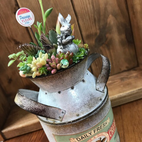 再販＊もじもじうさぎ、その後。①∮多肉植物の寄せ植え∮箱庭風