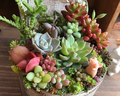 1_c1f90d3331be7af9a19e7c8f46ff