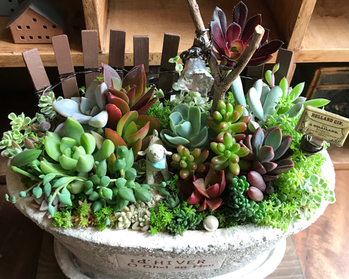 1_67ddc46b8e50562251f482e0f110