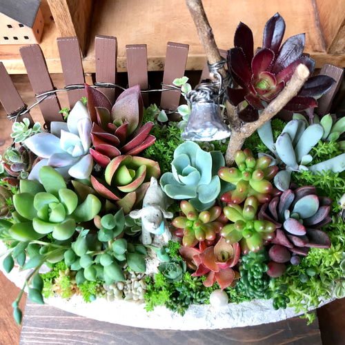 おかえりなさい♪」∮多肉植物の寄せ植え∮箱庭＊ハンドメイドピック