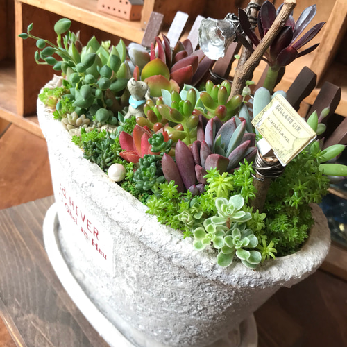 おかえりなさい♪」∮多肉植物の寄せ植え∮箱庭＊ハンドメイドピック
