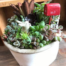 お返事、まだかな？』リメ缶プレゼントキャンペーン中！＊多肉植物