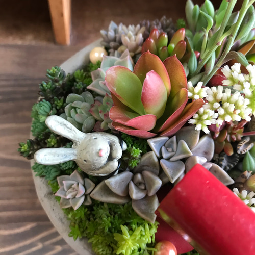 お返事、まだかな？』リメ缶プレゼントキャンペーン中！＊多肉