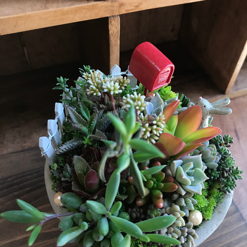 多肉寄せ植え✿箱庭✿うさぎ 受注制作 うさぎさんガーデン箱庭風多肉植物寄せ植え 多肉植物