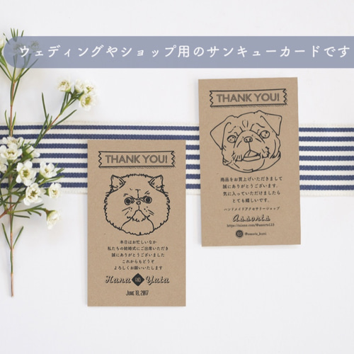 手書きサンキューカード サンクスカード 30枚 おしゃんねこリボン