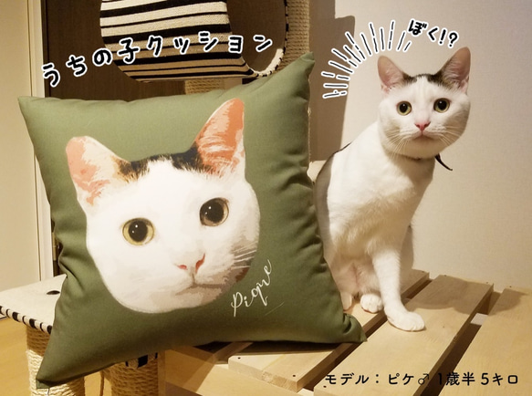 ペット オーダーメイドクッション│犬 猫 似顔絵 うちの子 3枚目の画像