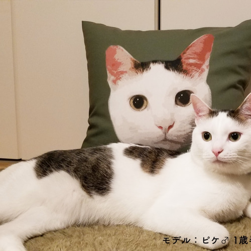 等身大 うちの子まんまオーダーメイドクッション～ペットの写真