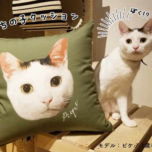 ネコ飼いさんのためのオーダメイド猫クッション クッション ネコ飼いさんのためのオーダメイド猫クッション クッション