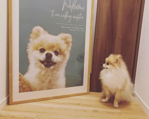 ペットの写真で作る 水彩画風ウェルカムボード│結婚式 犬 猫