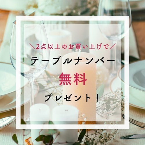 鬼嫁Tシャツ 2点セット │ 結婚祝い ウェディング 前撮り その他