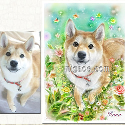 特別価格！【原画（額縁無し）】『バシルマ』（犬　柴犬） シバマルの最新号【vol.5 (発売日2025年03月31日)】| 雑誌/電子
