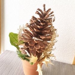 BIG-ri マツカサのツリー【プリザ＋ドライ】クリスマスツリー 3枚目の画像