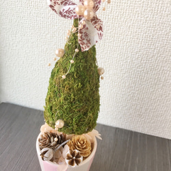 三角モスとピンクのミニクリスマスツリー【プリザ＋ドライ】 1枚目の画像