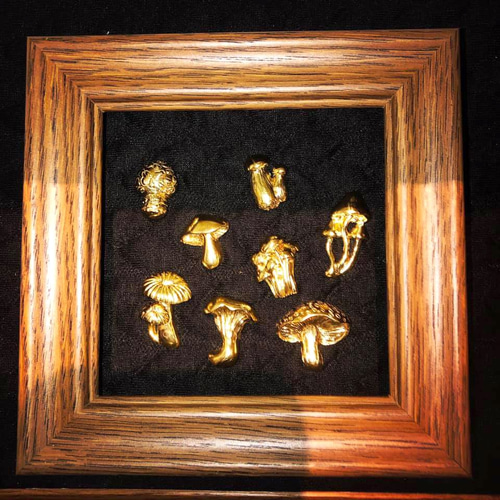 SOLID DESIGN SDr-247 【立体ピンズ】 キノコ図鑑シリーズ Mushroom