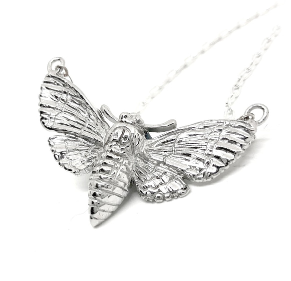 SOLID DESIGN SD-540 生き物図鑑 蛾シリーズ 【髑髏蛾ネックレス