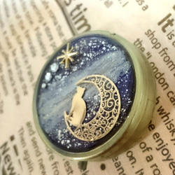 星に願いを…。月夜の猫。レジンハンドメイドピルケース☆宇宙塗☆ラピスラズリの宇宙 3枚目の画像