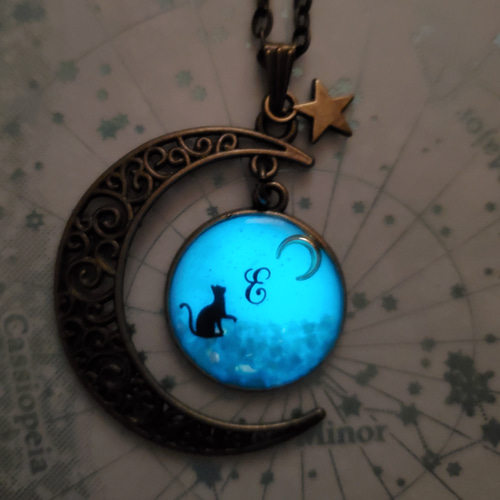 再販。オーダーメイド☆光る黒猫と透かし三日月のネックレス☆レジン 