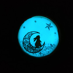 一点のみ。星に願いを…光る月夜のうさぎピルケース☆レジンハンドメイド☆蓄光 1枚目の画像