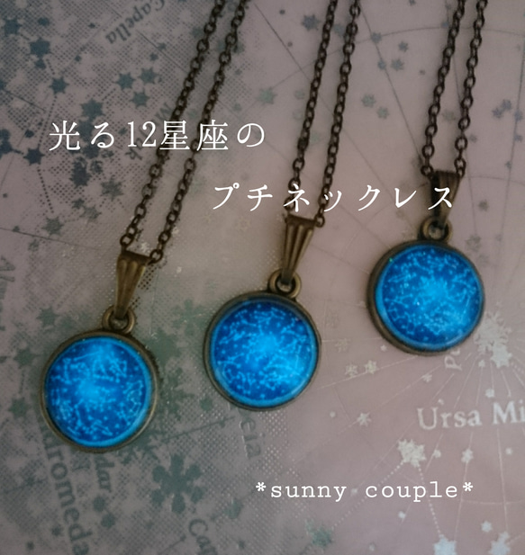 オーダーメイド☆光る星座のプチネックレス 蓄光 ネックレス 