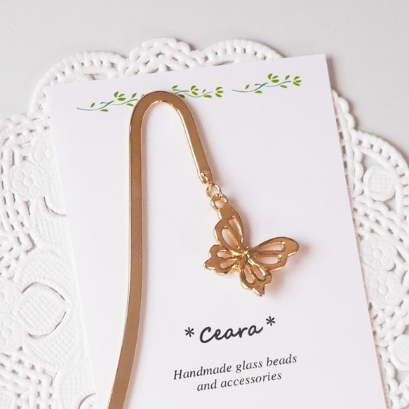 のりおじじ　マースルバーチ、オリーブ瘤、一位 のりおじじ様専用 マースルバーチ、オリーブ瘤、一位 だしおりーぶ・柚子お