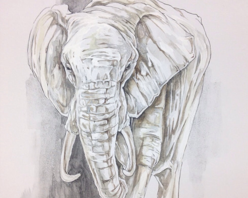 ゾウの歯医者　絵画 白象 絵画 座敷小僧 通販 3325684｜Creema(クリーマ)