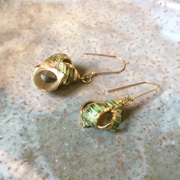 【SALE】Sea Shell Earrings 3枚目の画像