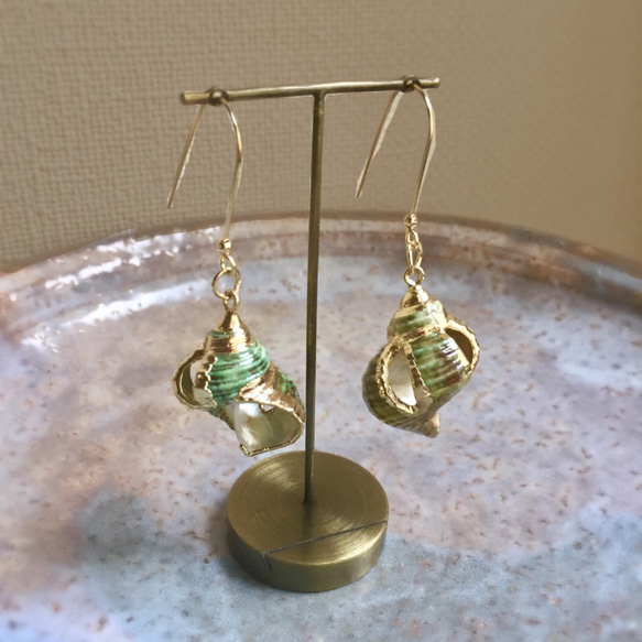 【SALE】Sea Shell Earrings 4枚目の画像