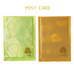 POST CARD /サボテンのポストカード◆選べる3枚セット◆ 5枚目の画像