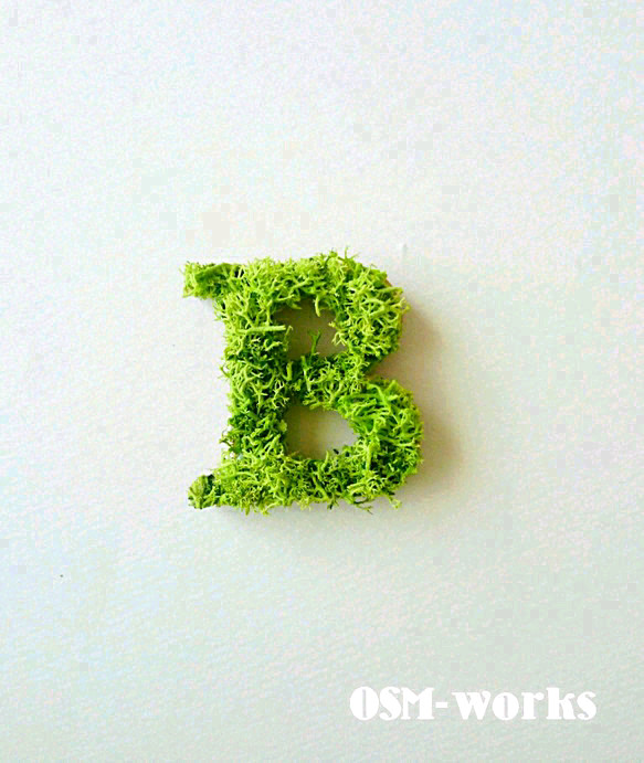 木製字母對象（苔蘚）5 厘米“B”x 1 點 第1張的照片