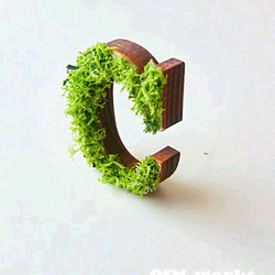 木製 アルファベットオブジェ(モス)５cm『Ｃ』×1点 2枚目の画像