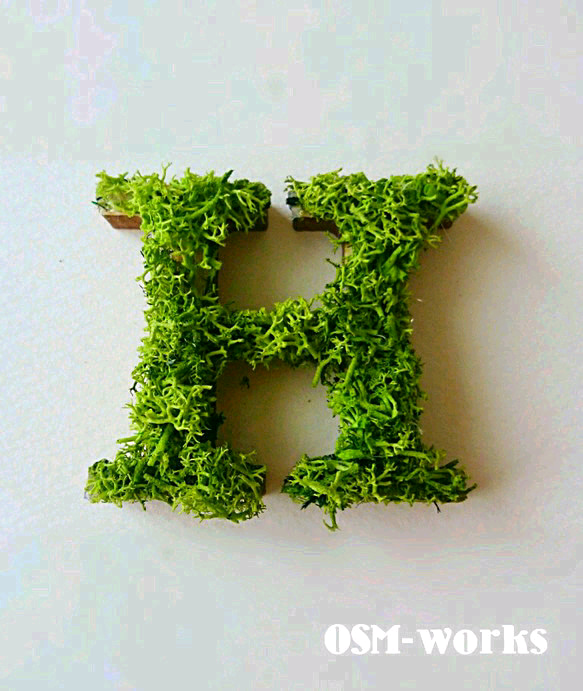 木製字母對象（苔蘚）5 厘米“H”x 1 點 第1張的照片