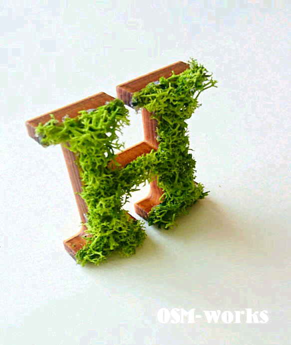 木製字母對象（苔蘚）5 厘米“H”x 1 點 第2張的照片