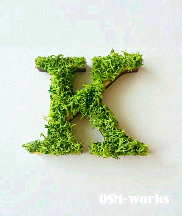 木製字母對象（苔蘚）5 厘米“K”x 1 點 第1張的照片