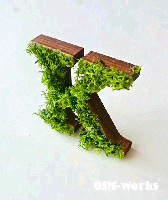 木製字母對象（苔蘚）5 厘米“K”x 1 點 第2張的照片