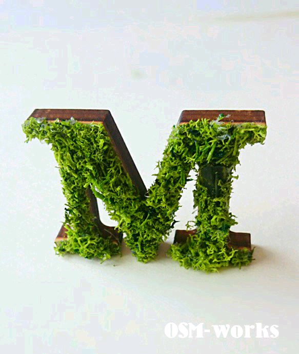 木製字母對象（苔蘚）5 厘米“M”x 1 點 第2張的照片