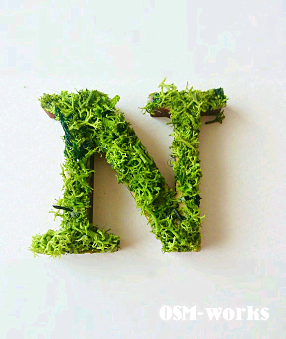 木製字母對象（苔蘚）5 厘米“N”x 1 點 第1張的照片