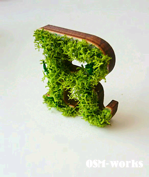 木製  アルファベットオブジェ(モス)５cm『Ｒ』×1点 2枚目の画像