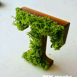 木製アルファベットオブジェ(モス)５cm『Ｔ』×1点 2枚目の画像