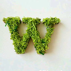 木製字母對象（苔蘚）5 厘米“W”x 1 點 第1張的照片